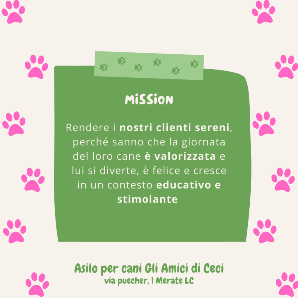 Mission asilo per cani