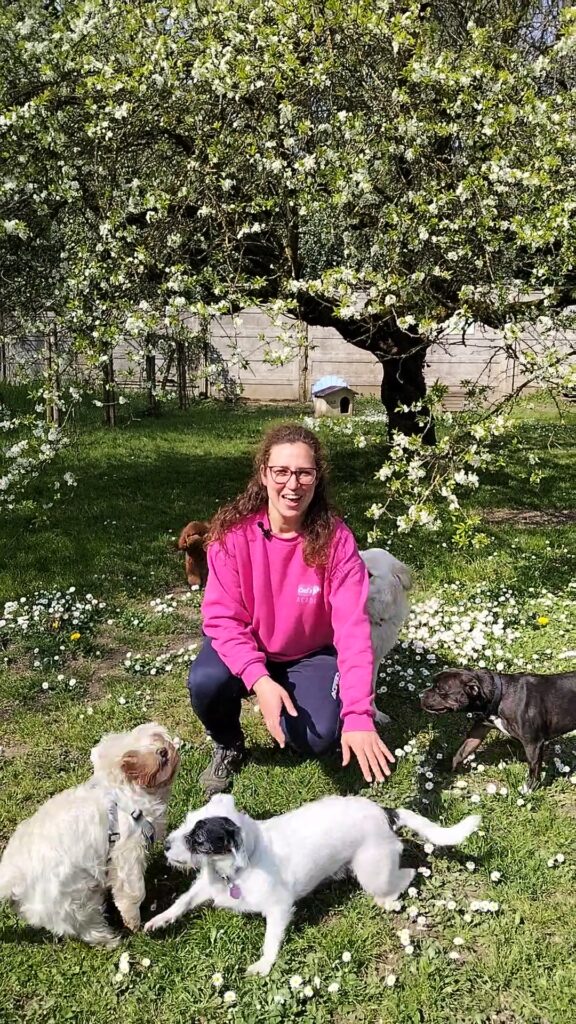 Cucciolo e socializzazione: corso online gratuito