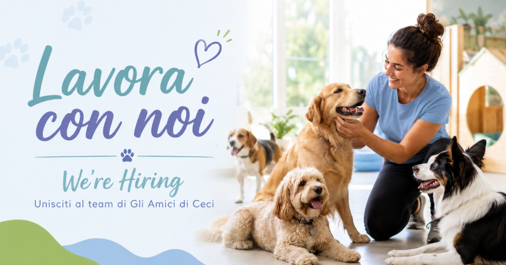 Lavora con noi